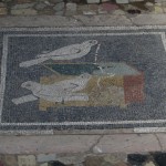 Mosaico domus Pompei