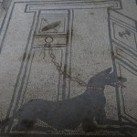 Pavimento in mosaico domus Pompei