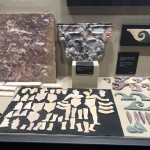 Antiquarium - Tarsie ed elementi decorativi in marmo
